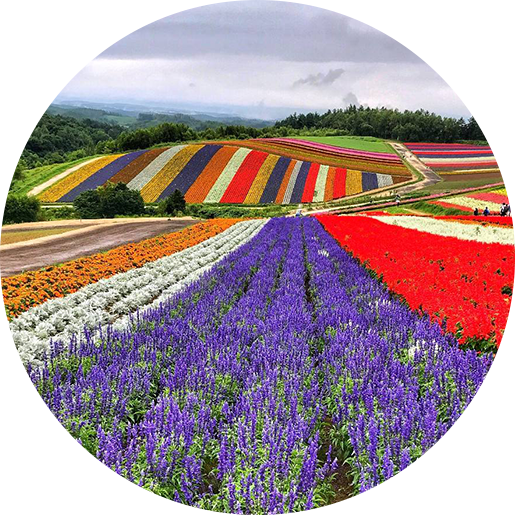 選擇我們的理由